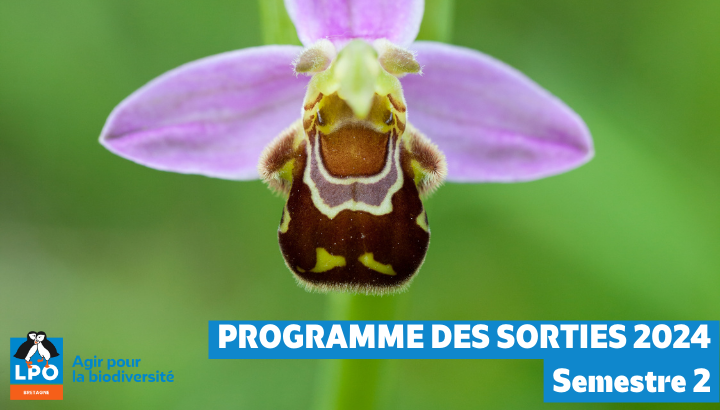 Le nouveau programme des sorties 2024 Semestre 2 est disponible !